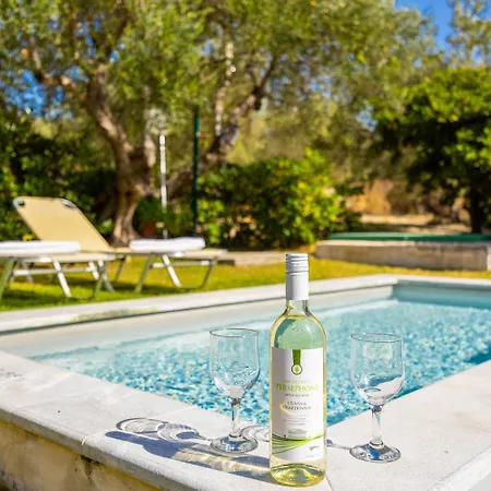Villa Dimitris *